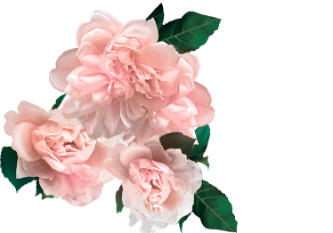 Традиционный праздник пионов с 26 по 28 мая!