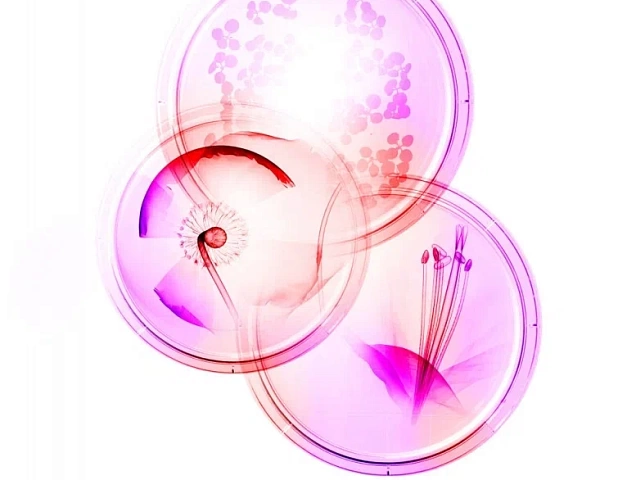 Процедура Фундаментальная интенсивная омолаживающая программа с пептидным комплексом фото 1