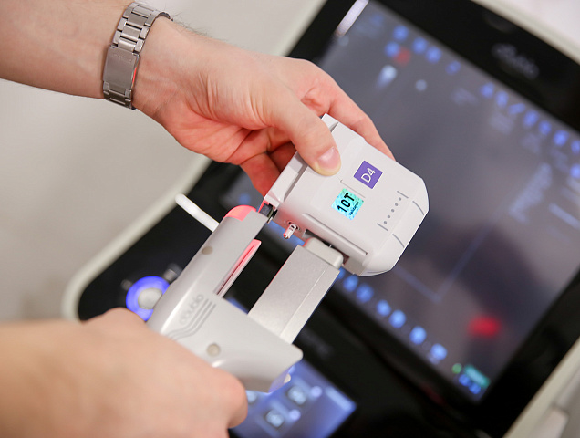 Паспорт красоты Паспорт красоты